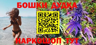 мдпв Лесосибирск