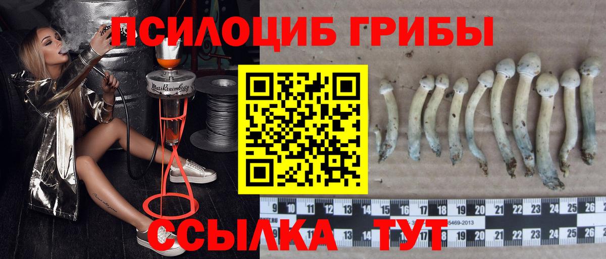 Галлюциногенные грибы мухоморы Азов