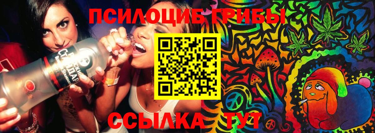 Галлюциногенные грибы Psilocybine cubensis  Вход с VPN  Азов 